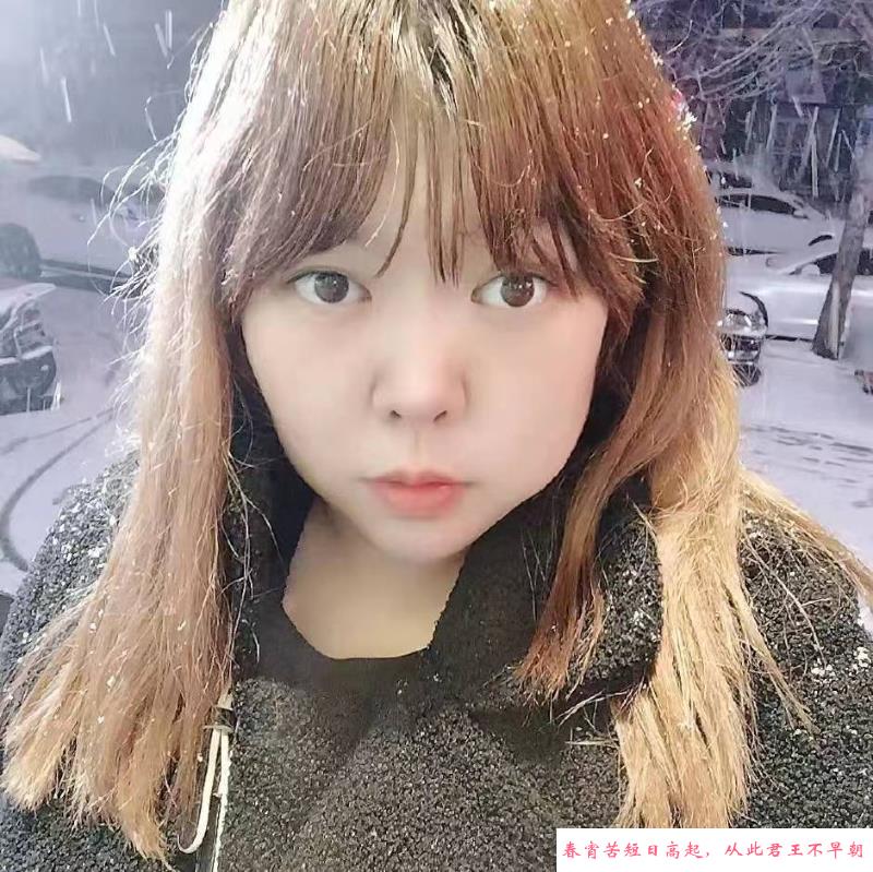 自己做的铁西妞有点胖 第2张